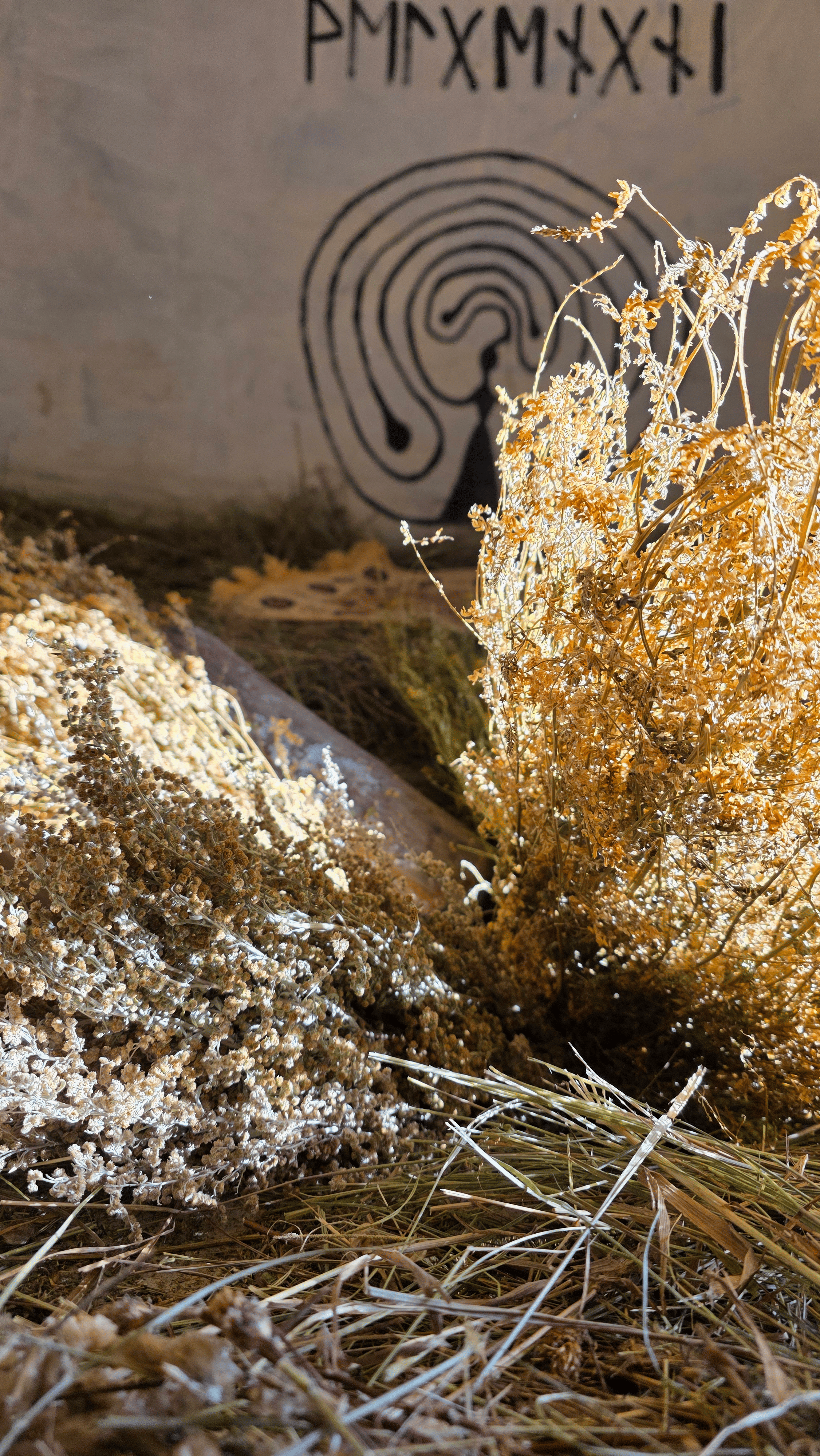 Церемония Инипи